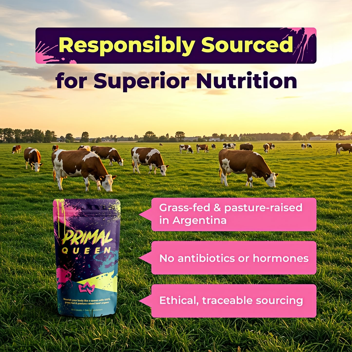 Primal Queen Female-Optimized Beef Organ Superfood Supplement (Beef Liver, Kidney, Heart, & 3 More) - 100% Grass Fed, Pasture Raised Cattle - Balance Hormones, Energy, & More for Women